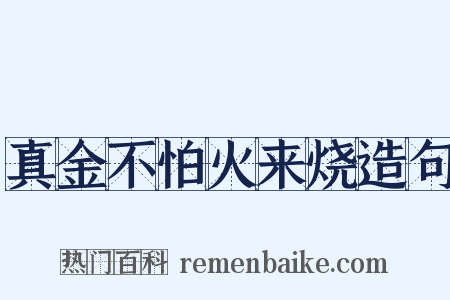 真金不怕火来烧造句是什么意思的图片